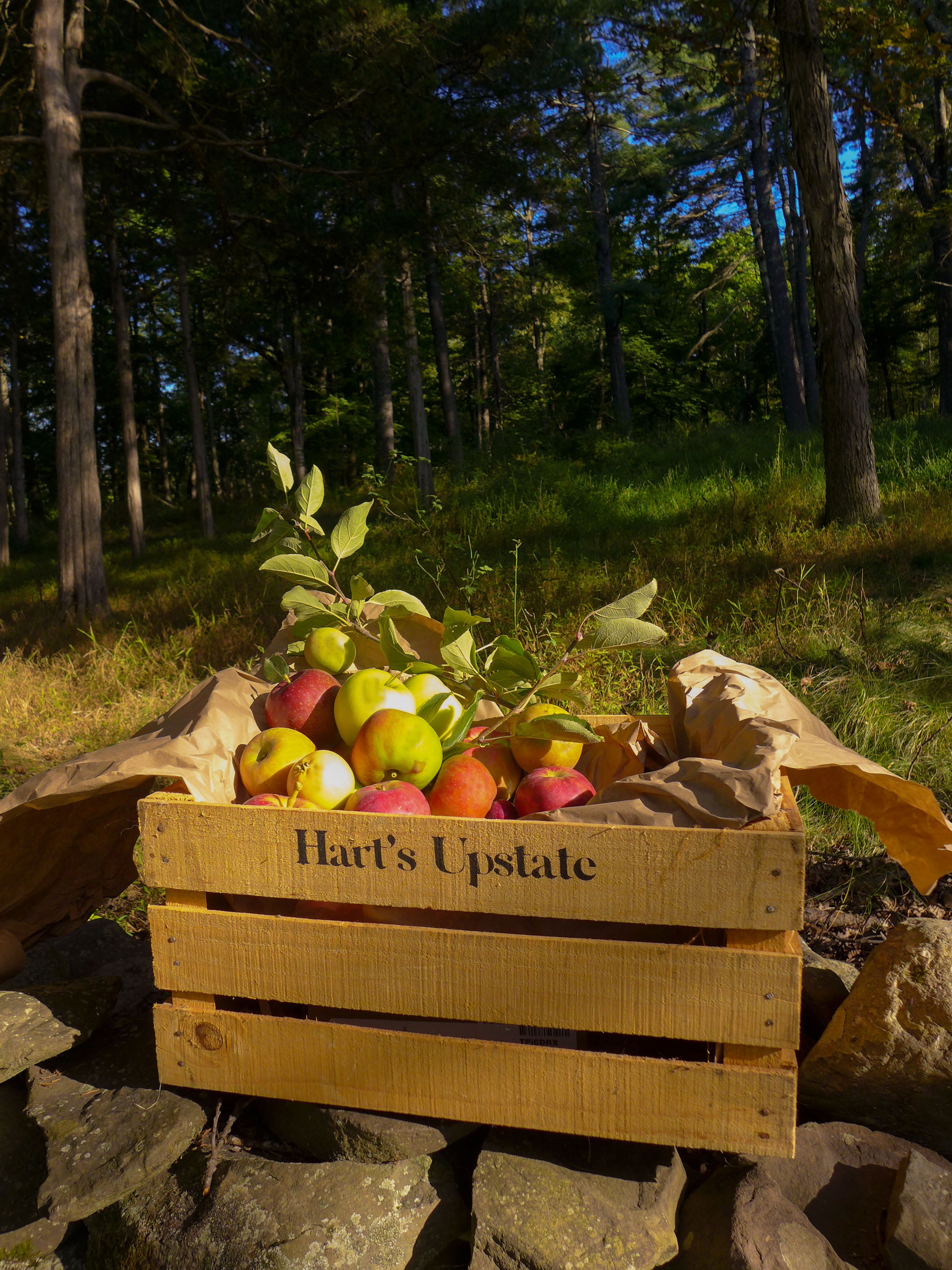 Autumn Heirloom Apple Tasting Box