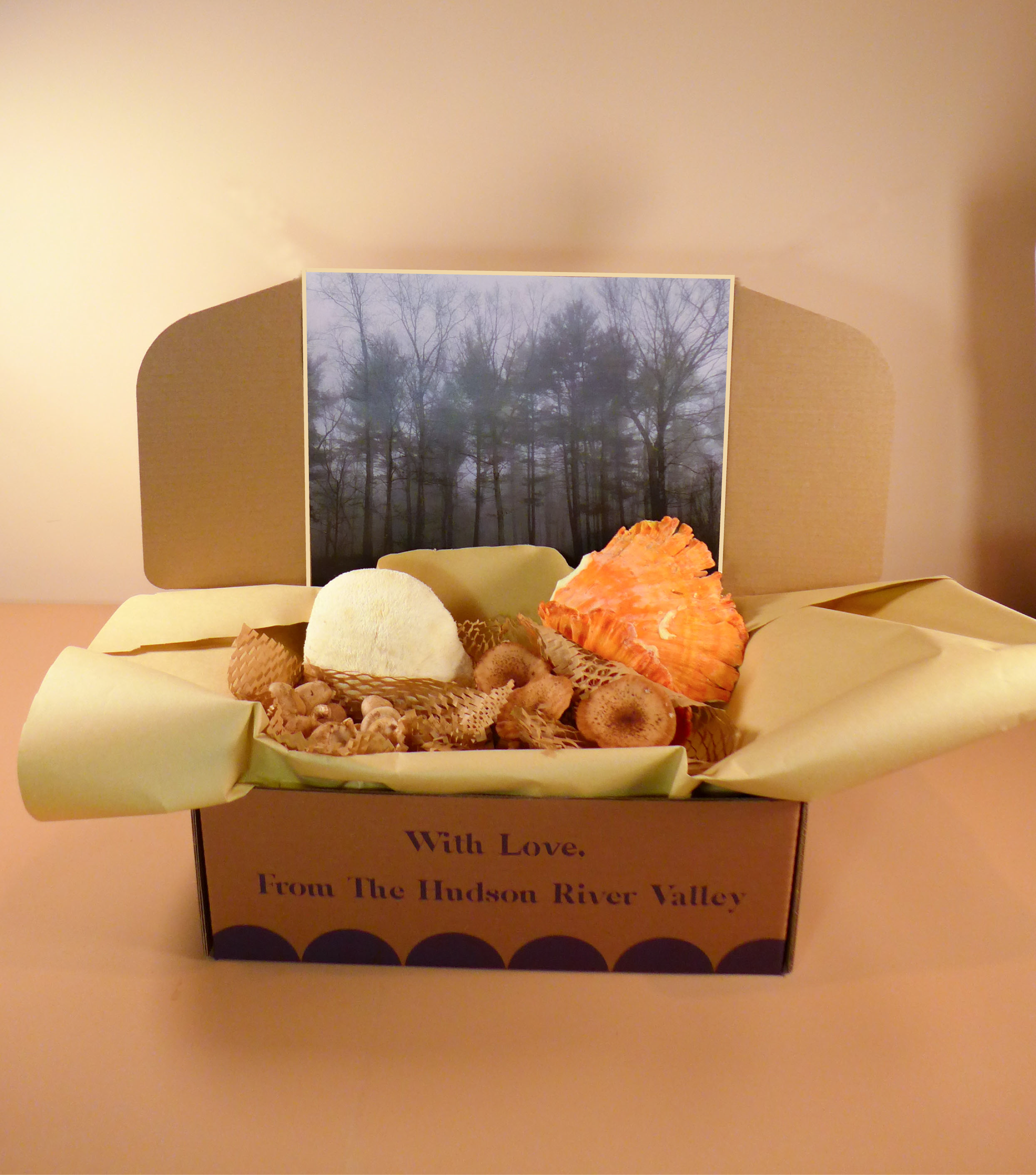 Autumn Mushroom Box