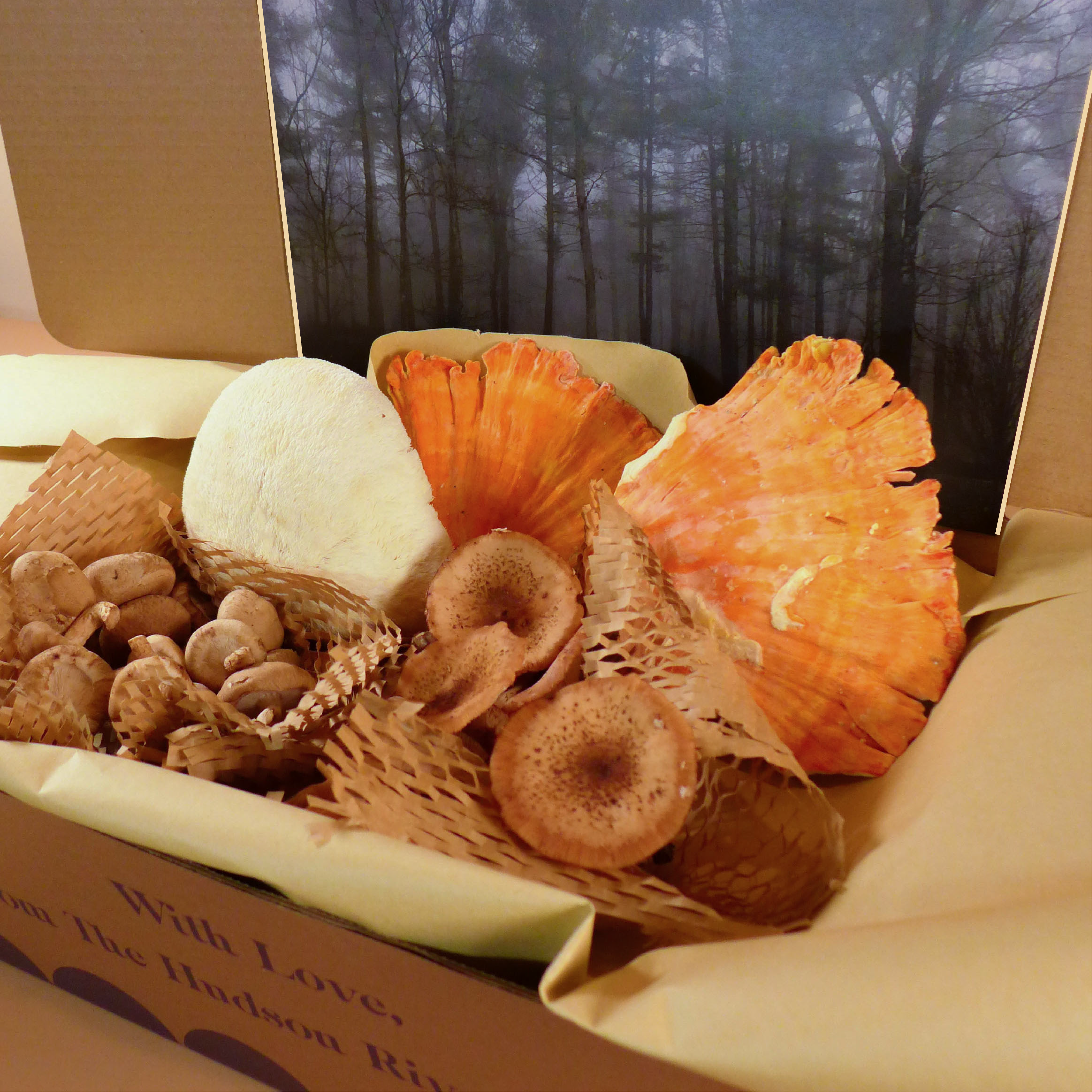 Autumn Mushroom Box