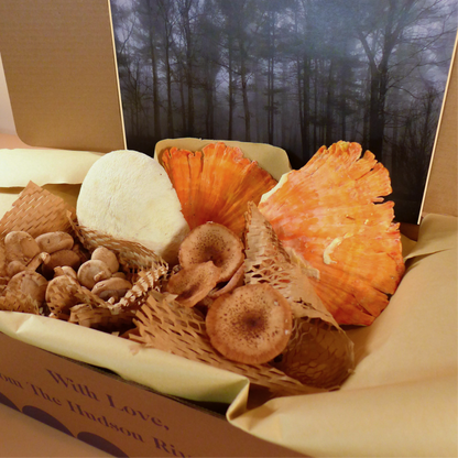 Autumn Mushroom Box